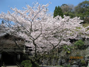 石山寺