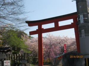 平野神社1